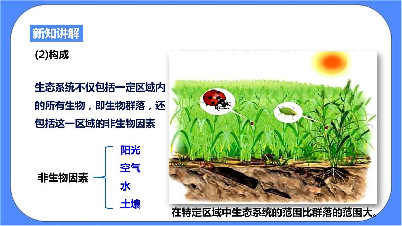 浙教版九年科学下册第2章第4节生态系统的结构和功能 第1课时课件05