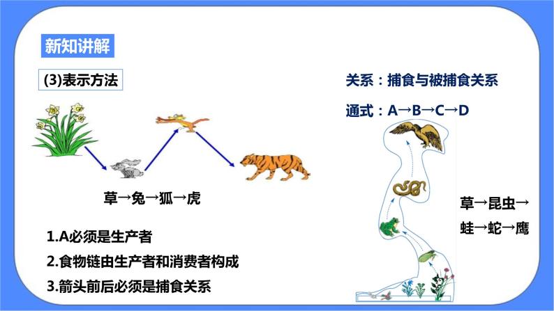 浙教版九年科学下册第2章第4节生态系统的结构和功能 第2课时课件04