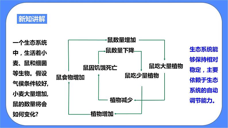 浙教版九年科学下册第2章第5节生态系统的稳定性 第1课时课件07