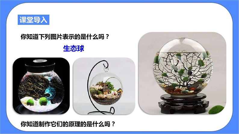 浙教版九年科学下册第2章第5节生态系统的稳定性 第2课时课件02