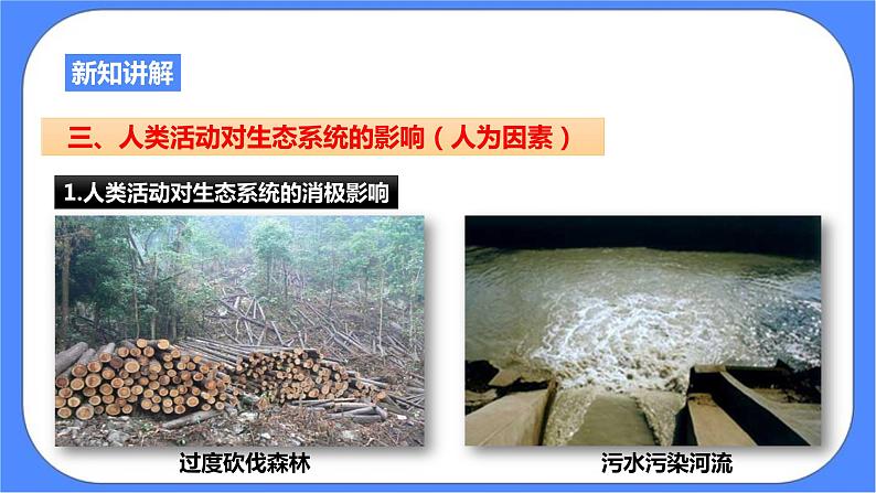 浙教版九年科学下册第2章第5节生态系统的稳定性 第2课时课件03