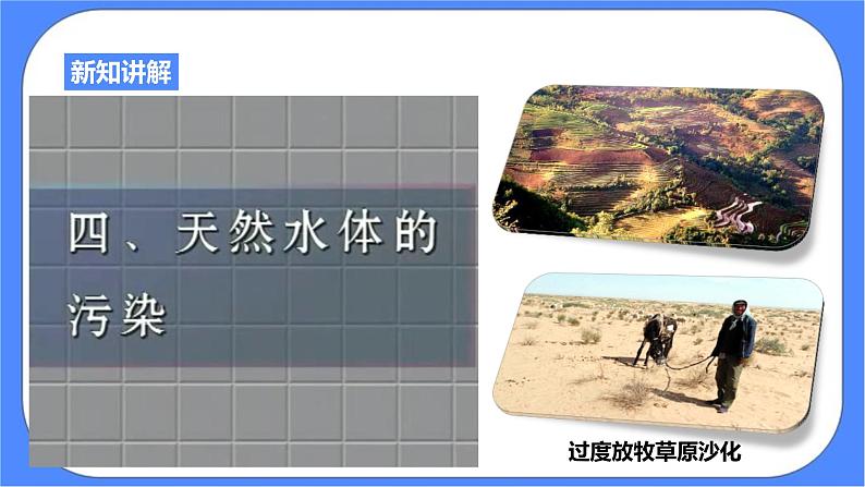 浙教版九年科学下册第2章第5节生态系统的稳定性 第2课时课件05