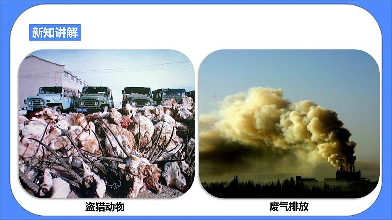 浙教版九年科学下册第2章第5节生态系统的稳定性 第2课时课件06