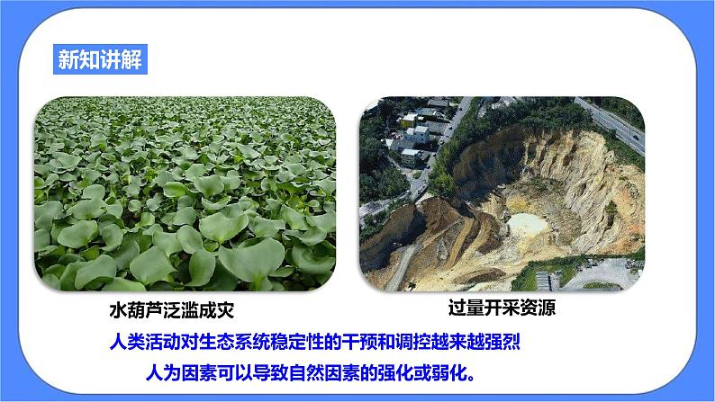 浙教版九年科学下册第2章第5节生态系统的稳定性 第2课时课件07