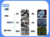 浙教版九年科学下册第3章第2节来自微生物的威胁 第1课时课件