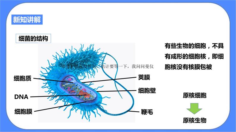 浙教版九年科学下册第3章第2节来自微生物的威胁 第1课时课件06