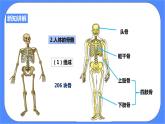 浙教版九年科学下册第3章第5节人的运动系统和保健 第1课时课件