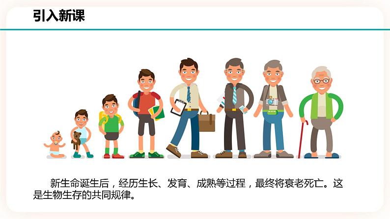 浙教版科学七年级下册1.2走向成熟课件第2页