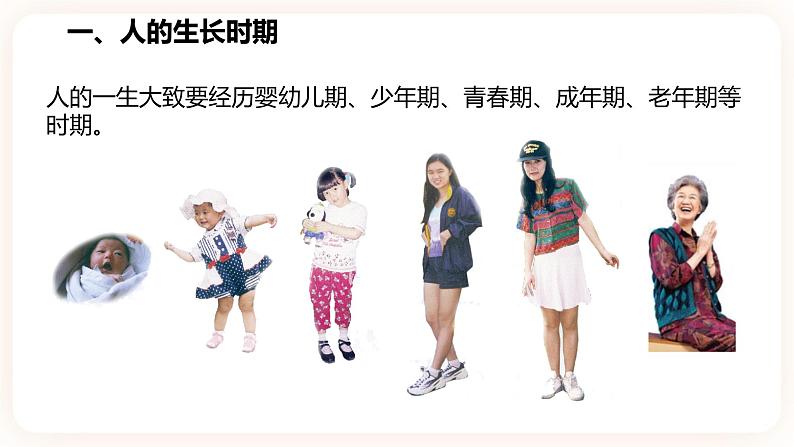 浙教版科学七年级下册1.2走向成熟课件第4页