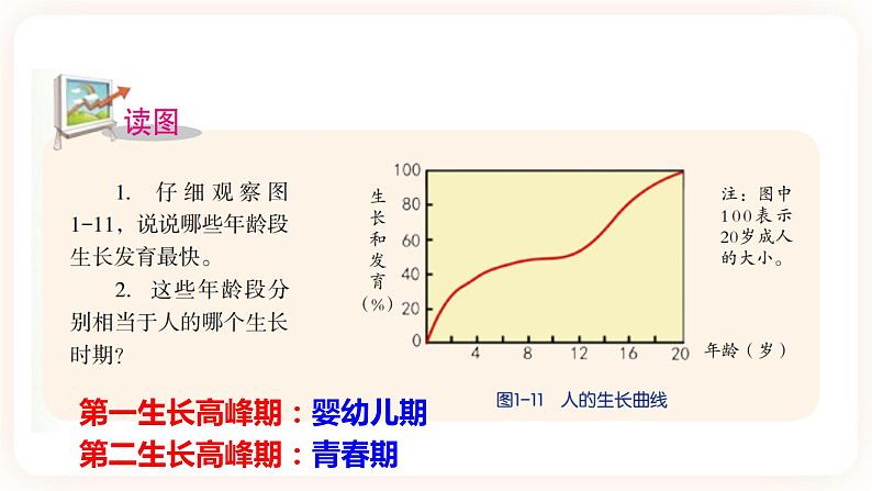 浙教版科学七年级下册1.2走向成熟课件第6页