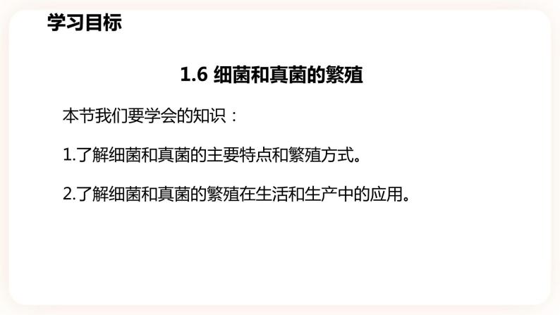 浙教版科学七年级下册1.6细菌和真菌的繁殖课件03