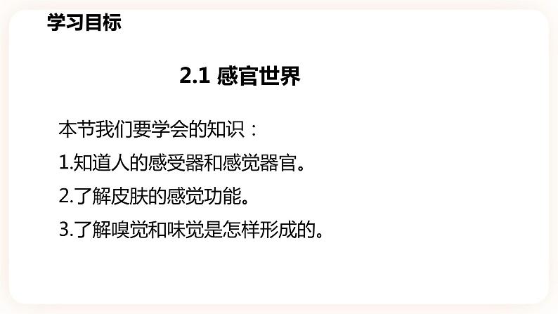 浙教版科学七年级下册2.1感官世界课件第3页