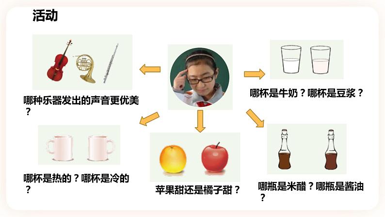 浙教版科学七年级下册2.1感官世界课件第4页