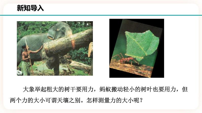 浙教版科学七年级下册第二节  力的存在（第二课时)课件02