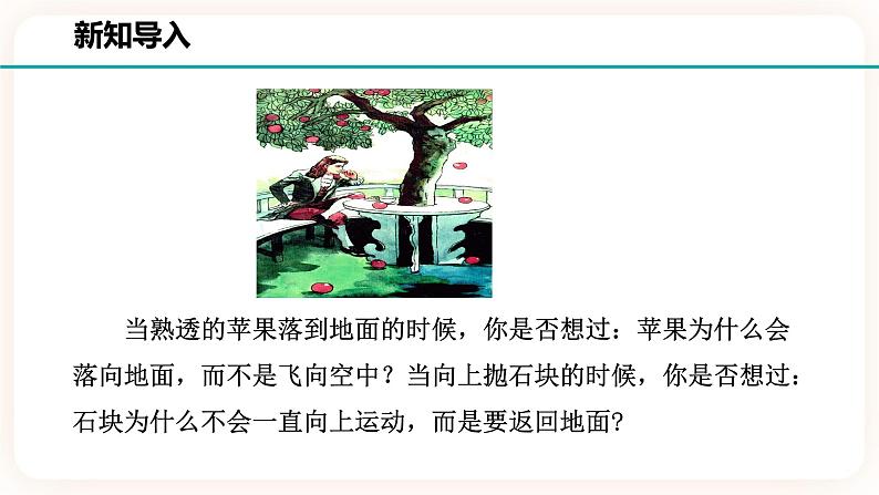 浙教版科学七年级下册第三节    重力课件02