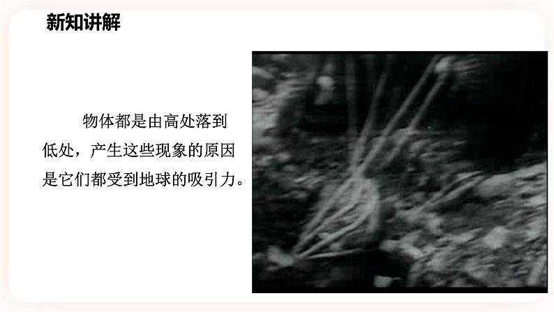 浙教版科学七年级下册第三节    重力课件03