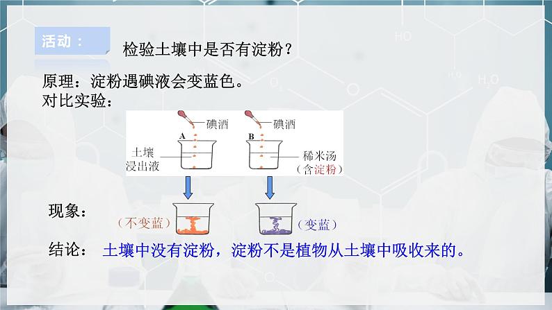 【浙教版】八下科学  3.6 光合作用 第1课时（课件+教案+导学案+视频素材）04