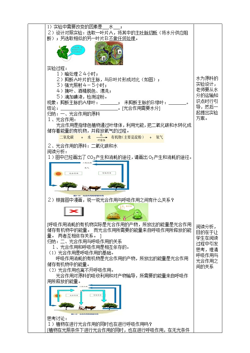 【浙教版】八下科学  3.6光合作用 第2课时（课件+教案+导学案+视频素材）02
