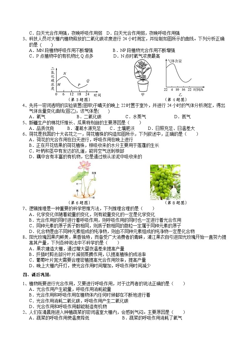 【浙教版】八下科学  3.6光合作用 第2课时（课件+教案+导学案+视频素材）03