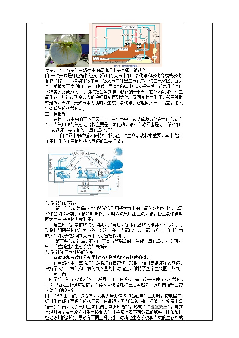 【浙教版】八下科学  3.7自然界中的氧循环和碳循环（课件+教案+导学案+视频素材）03