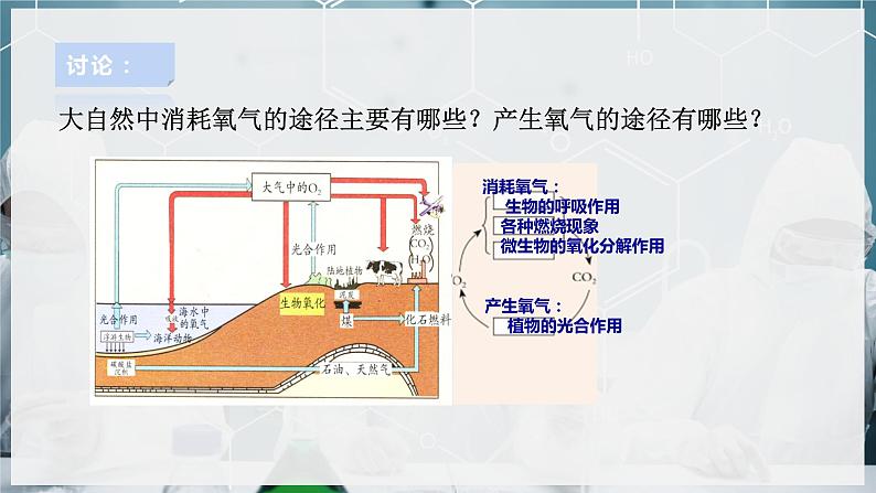 【浙教版】八下科学  3.7自然界中的氧循环和碳循环（课件+教案+导学案+视频素材）08