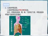 【浙教版】八下科学  3.5生物的呼吸和呼吸作用 第1课时（课件+教案+导学案+视频素材）