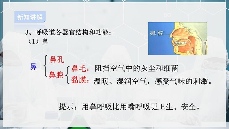 【浙教版】八下科学  3.5生物的呼吸和呼吸作用 第1课时（课件+教案+导学案+视频素材）07