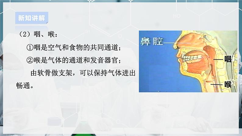 【浙教版】八下科学  3.5生物的呼吸和呼吸作用 第1课时（课件+教案+导学案+视频素材）08