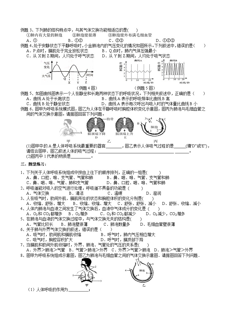 【浙教版】八下科学  3.5生物的呼吸和呼吸作用 第1课时（课件+教案+导学案+视频素材）02