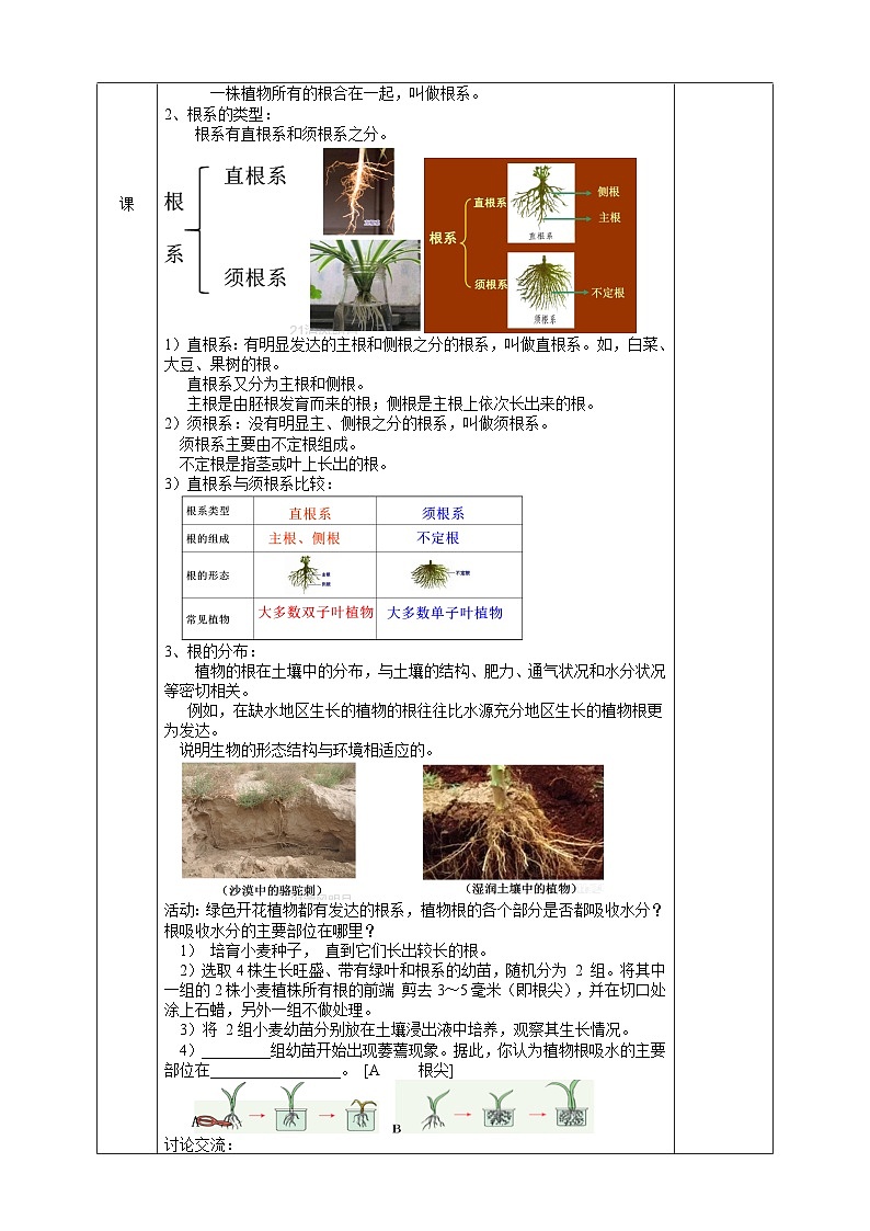 【浙教版】八下科学  4.3植物的根与物质吸收 第1课时（课件+教案+导学案+视频素材）02