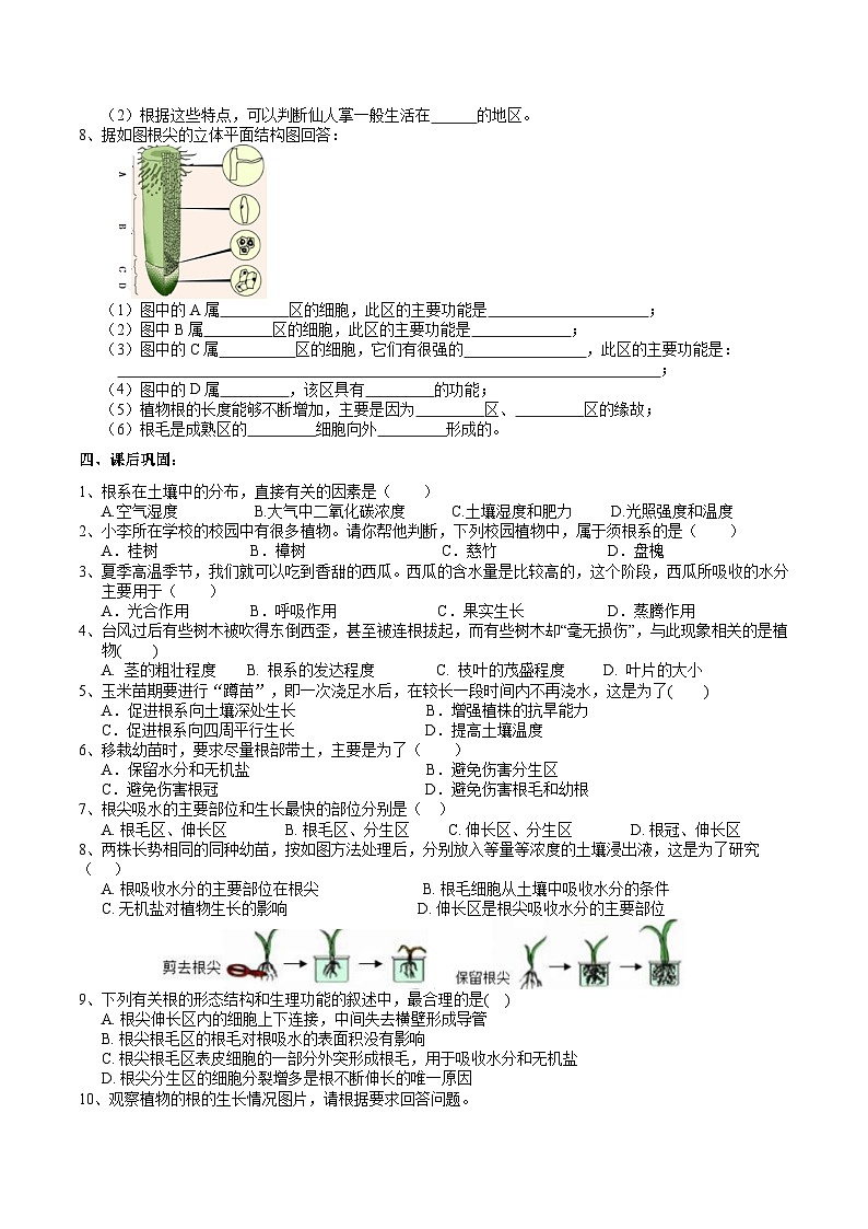 【浙教版】八下科学  4.3植物的根与物质吸收 第1课时（课件+教案+导学案+视频素材）03