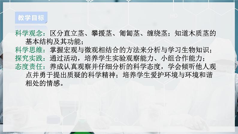 【浙教版】八下科学  4.4植物的茎与物质运输 第1课时（课件+教案+导学案+视频素材）02