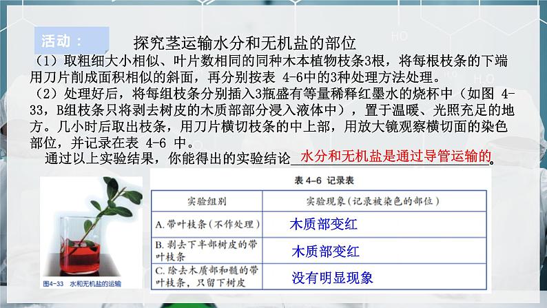 4.4植物的茎与物质运输（2）第5页