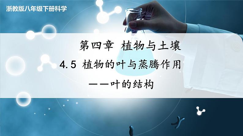 【浙教版】八下科学  4.5植物的叶与蒸腾作用 第1课时（课件+教案+导学案+视频素材）01