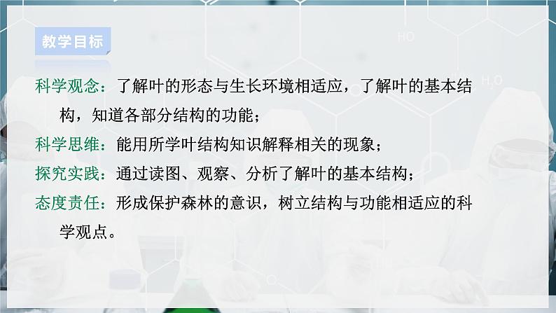 【浙教版】八下科学  4.5植物的叶与蒸腾作用 第1课时（课件+教案+导学案+视频素材）02