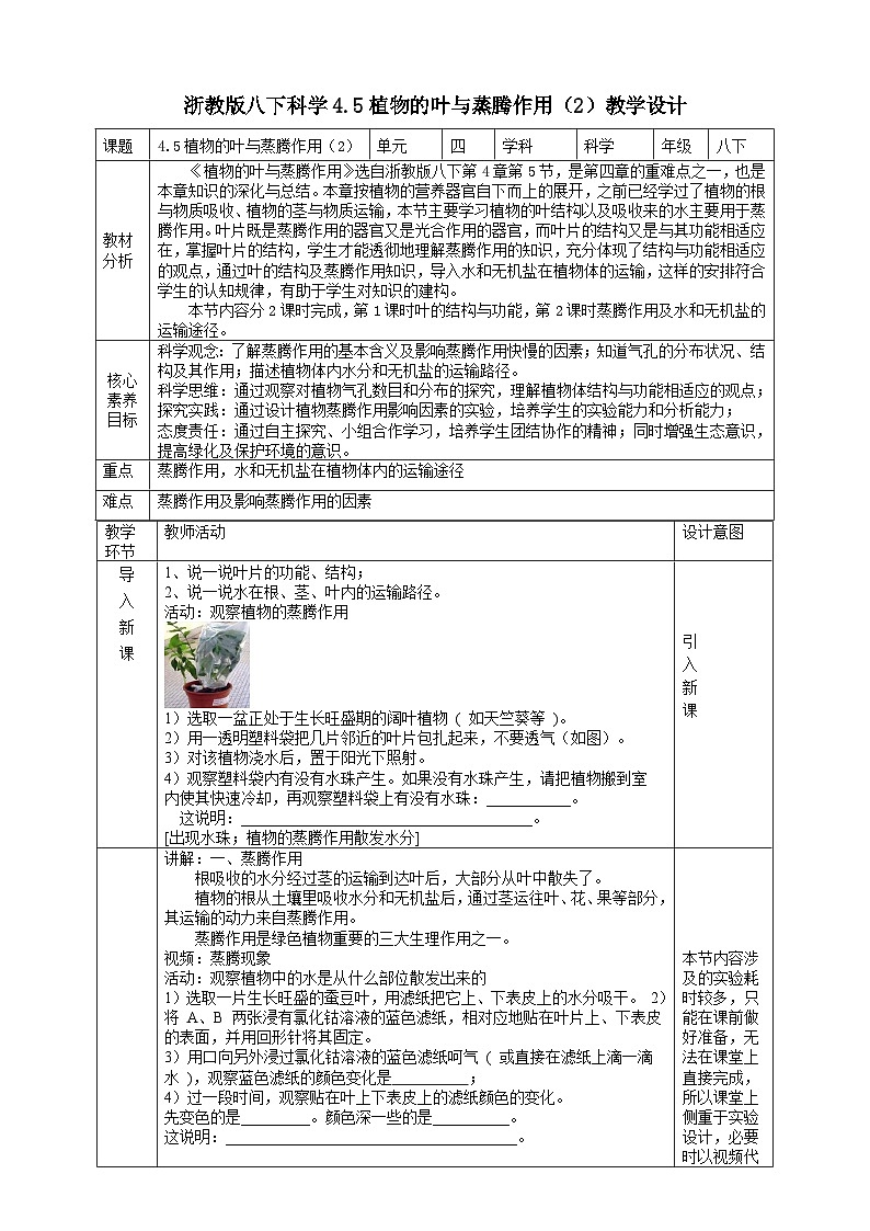 【浙教版】八下科学  4.5植物的叶与蒸腾作用 第2课时 （课件+教案+导学案+视频素材）01