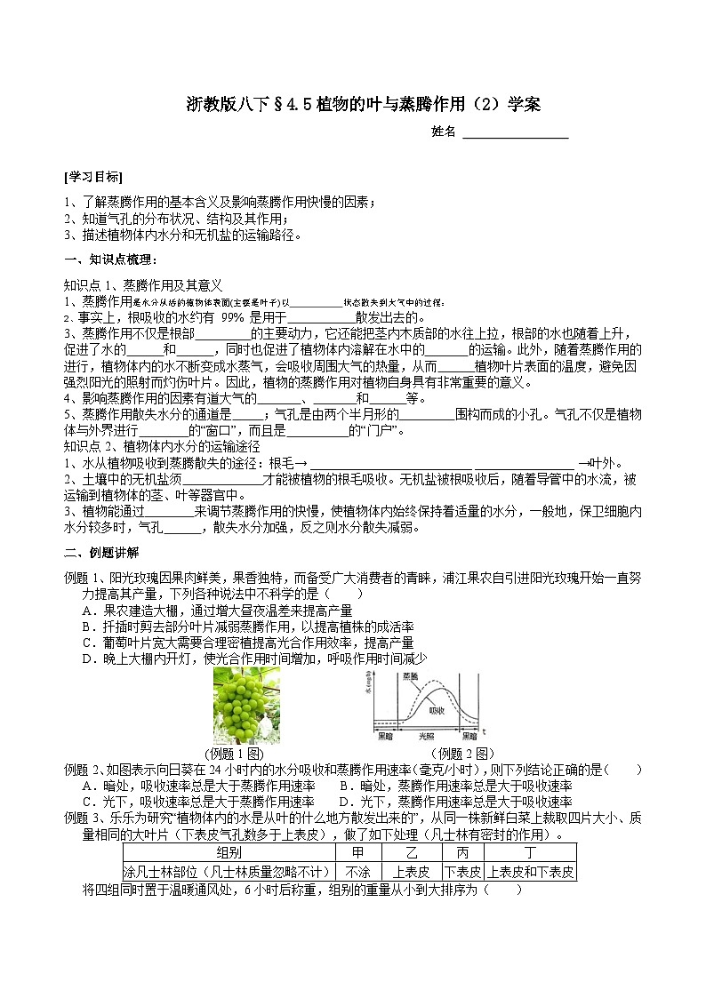 【浙教版】八下科学  4.5植物的叶与蒸腾作用 第2课时 （课件+教案+导学案+视频素材）01