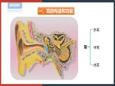 【华师大版】八下科学  3.2耳与听觉（课件+教案+导学案）