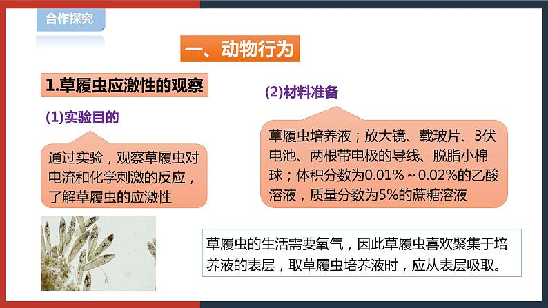 【华师大版】八下科学  7.1.1动物的行为（课件+教案+导学案）03