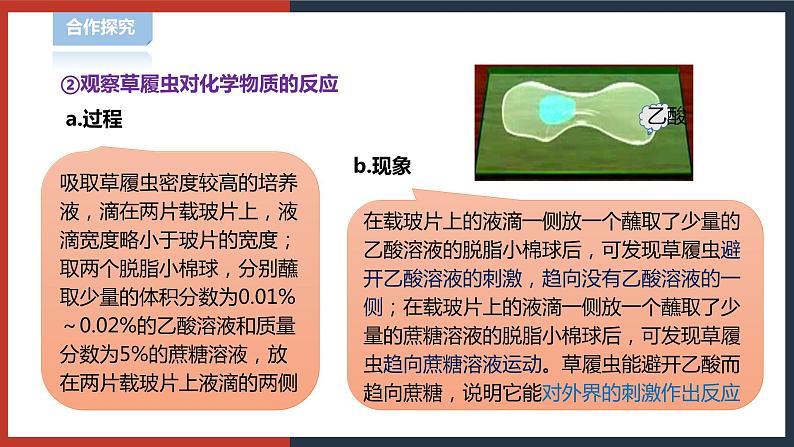 【华师大版】八下科学  7.1.1动物的行为（课件+教案+导学案）05