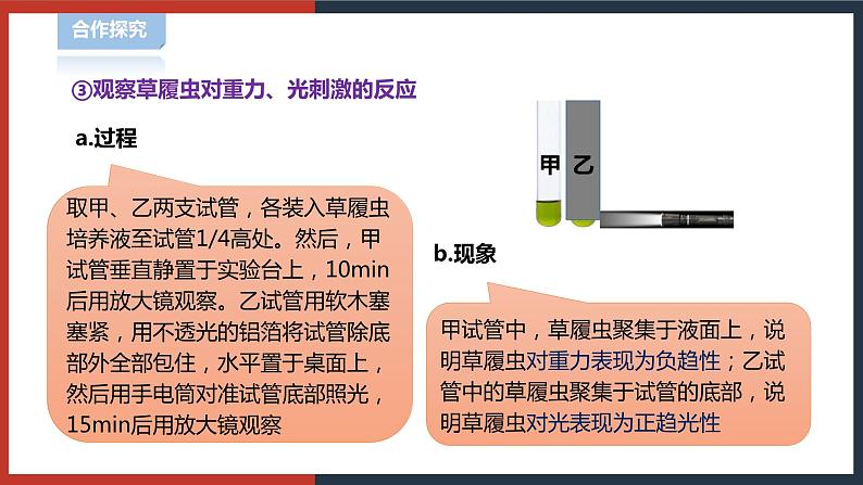 【华师大版】八下科学  7.1.1动物的行为（课件+教案+导学案）06