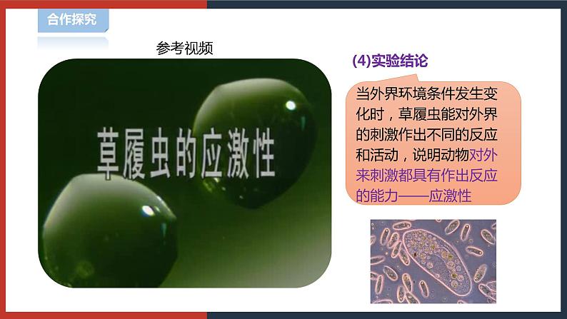 【华师大版】八下科学  7.1.1动物的行为（课件+教案+导学案）07