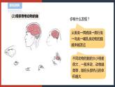 【华师大版】八下科学  7.2.1人体生命活动的神经调节（课件+教案+导学案）