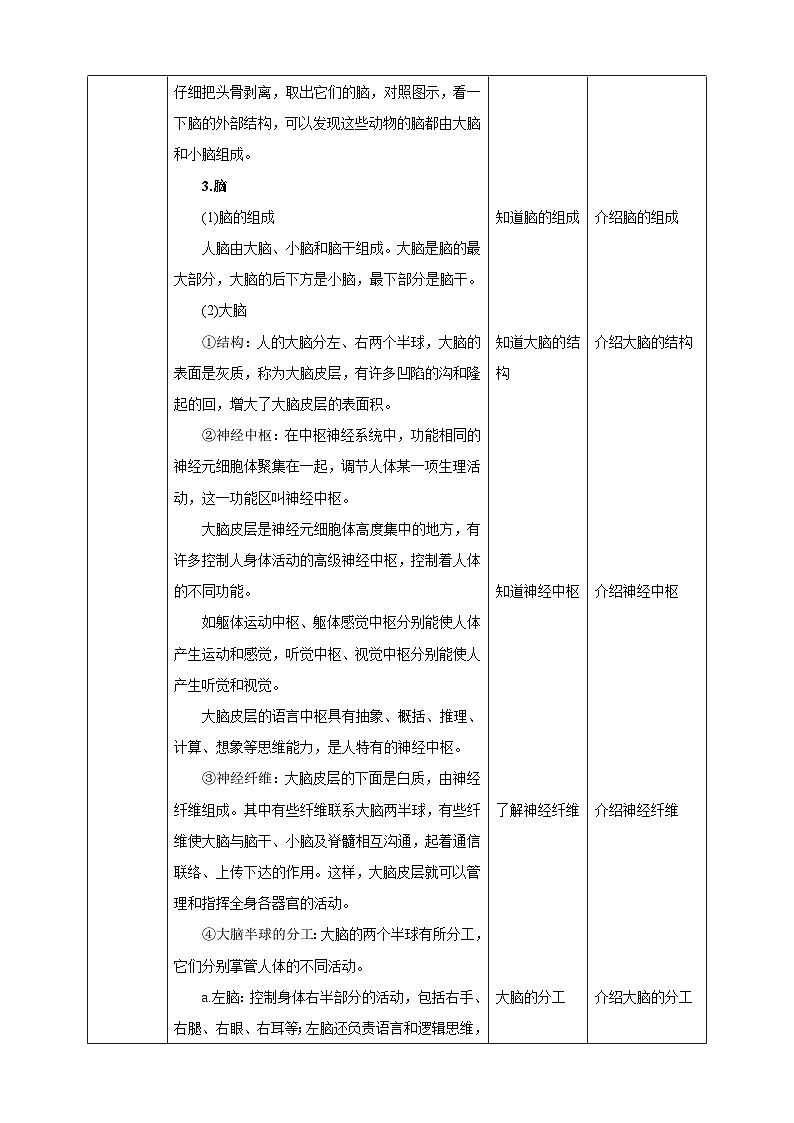 【华师大版】八下科学  7.2.1人体生命活动的神经调节（课件+教案+导学案）02