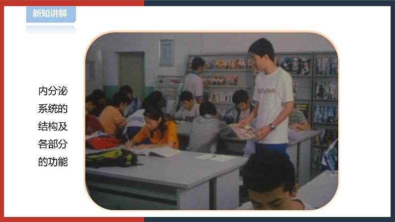 【华师大版】八下科学  7.3人体生命活动的激素调节（课件+教案+导学案）03