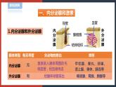 【华师大版】八下科学  7.3人体生命活动的激素调节（课件+教案+导学案）