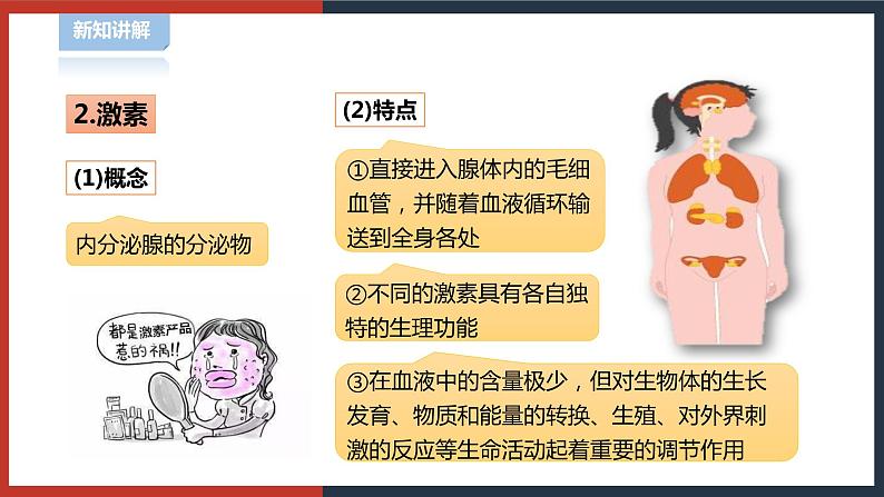 【华师大版】八下科学  7.3人体生命活动的激素调节（课件+教案+导学案）05