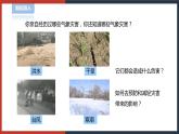 【华师大版】八下科学  8.4气象灾害和防灾减灾（课件+教案+导学案）