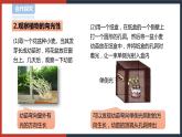 【华师大版】八下科学  7.5植物生命活动的调节（课件+教案+导学案）