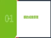 【华师大版】八下科学  2.4《眼的成像原理 视力的矫正》（课件+教案+导学案）